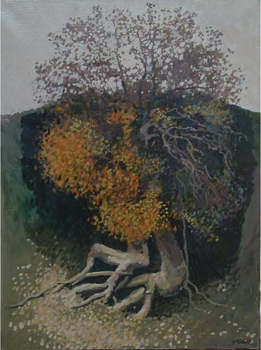 Albero vetusto