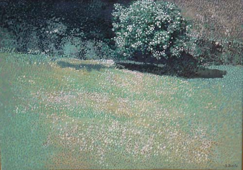 Ciuffo con fiori bianchi