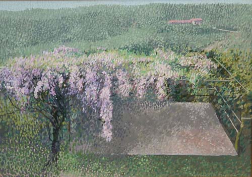La pergola con glicini fioriti