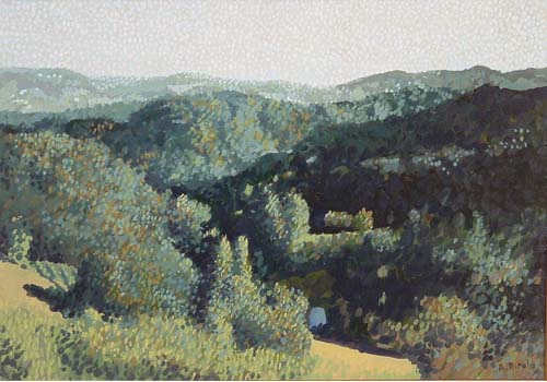 Le erte colline di S. Sebastiano da Po