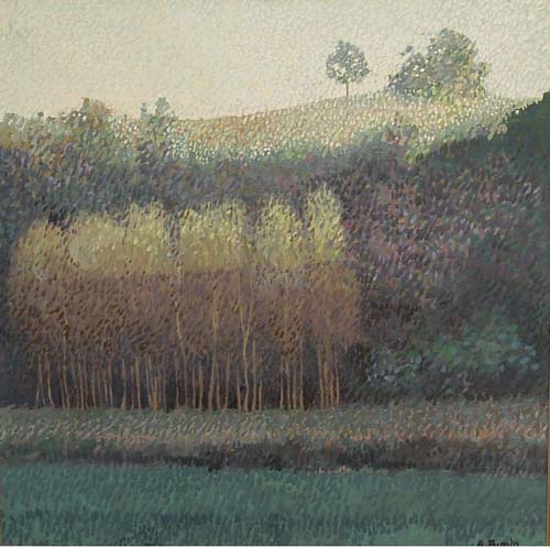 Paesaggio con luce radente