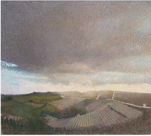 Paesaggio con vigneti