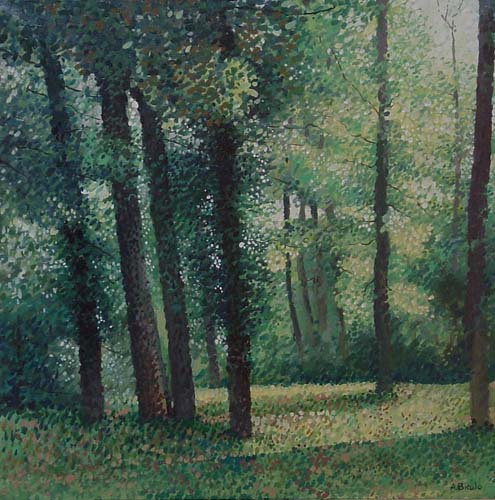 Nel bosco