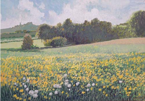 Prato in primavera