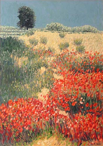 Terre bianche