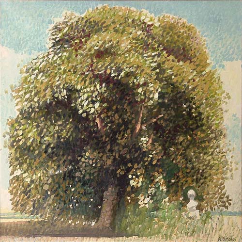 Albero con grande chioma