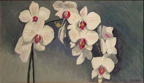 Fiore di orchidea