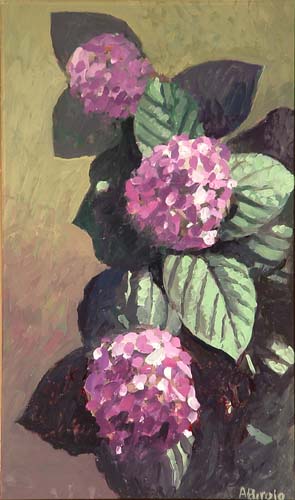 Ortensie