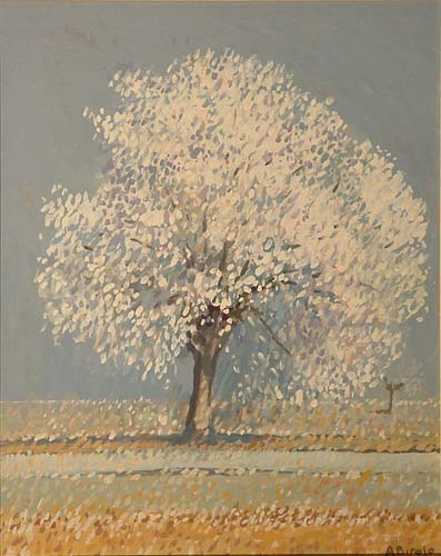 Albero raggelato dalla brina