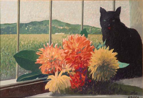 Dalie con gatto alla finestra