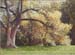 Quadro n. 028