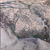 Quadro n. 152