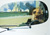Quadro n. 195